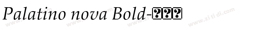 Palatino nova Bold字体转换 Palatino nova Bold字体转换